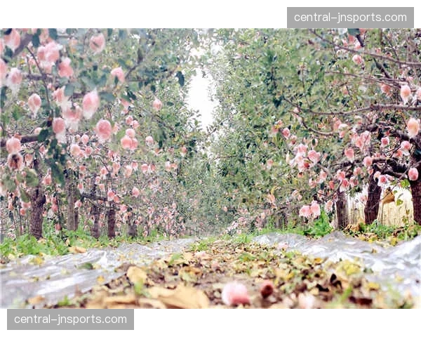 动态视觉识别在当前数字化阶段的全面铺开 强化了全时段的品牌存在感